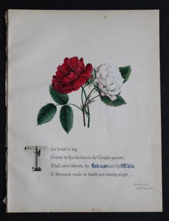 Red & White Roses by JE Giraud 1845: This original hand-coloured floral print of Red & White Roses is from The Flowers of Shakespeare by Jane Elizabeth Giraud, Published privately, Faversham, 1845. This print is beautifully illustrated a