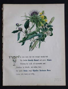 Cowslip, Burnet, Clover & Thistle by JE Giraud 1845: This original hand-coloured floral print of Cowslip, Burnet, Clover & Thistle is from The Flowers of Shakespeare by Jane Elizabeth Giraud, Published privately, Faversham, 1845. This print is beautiful