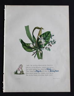 Citron, Myrrh and Balmy Reed by JE Giraud 1846: This original hand-coloured floral print of Citron, Myrrh and Balmy Reed is from The Flowers of Milton by Jane Elizabeth Giraud, Published privately, Faversham, 1846. This print is beautifully