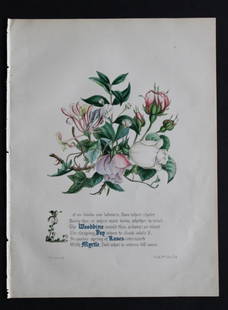 Woodbine, Ivy, Roses & Myrtle by JE Giraud 1846: This original hand-coloured floral print of Woodbine, Ivy, Roses & Myrtle is from The Flowers of Milton by Jane Elizabeth Giraud, Published privately, Faversham, 1846. This print is beautifully