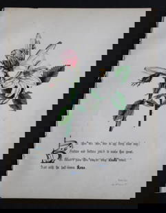 Lilies and Rose by JE Giraud 1845: This original hand-coloured floral print of Lilies and Rose is from The Flowers of Shakespeare by Jane Elizabeth Giraud, Published privately, Faversham, 1845. This print is beautifully illustrated
