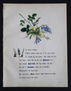 Primrose, Eglantine & Hare-Bell by JE Giraud 1845: This original hand-coloured floral print of Primrose, Eglantine & Hare-Bell is from The Flowers of Shakespeare by Jane Elizabeth Giraud, Published privately, Faversham, 1845. This print is beautifully