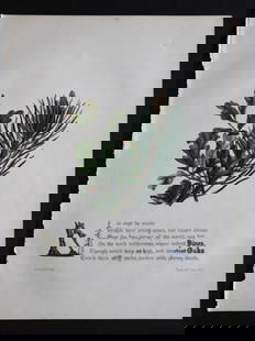 Pines and Oaks by JE Giraud 1846: This original hand-coloured floral print of Pines and Oaks is from The Flowers of Milton by Jane Elizabeth Giraud, Published privately, Faversham, 1846. This print is beautifully illustrated and is