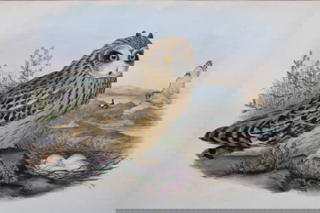 John Gould - Original lithograph of Short-eared Owl 1862-73: This original lithograph of the Short-eared owl (Brachyotus palustris ) is from John Gould's Birds of Great Britain, issued in 25 parts between 1862 and 1873. This plate is number 32 from volume 1