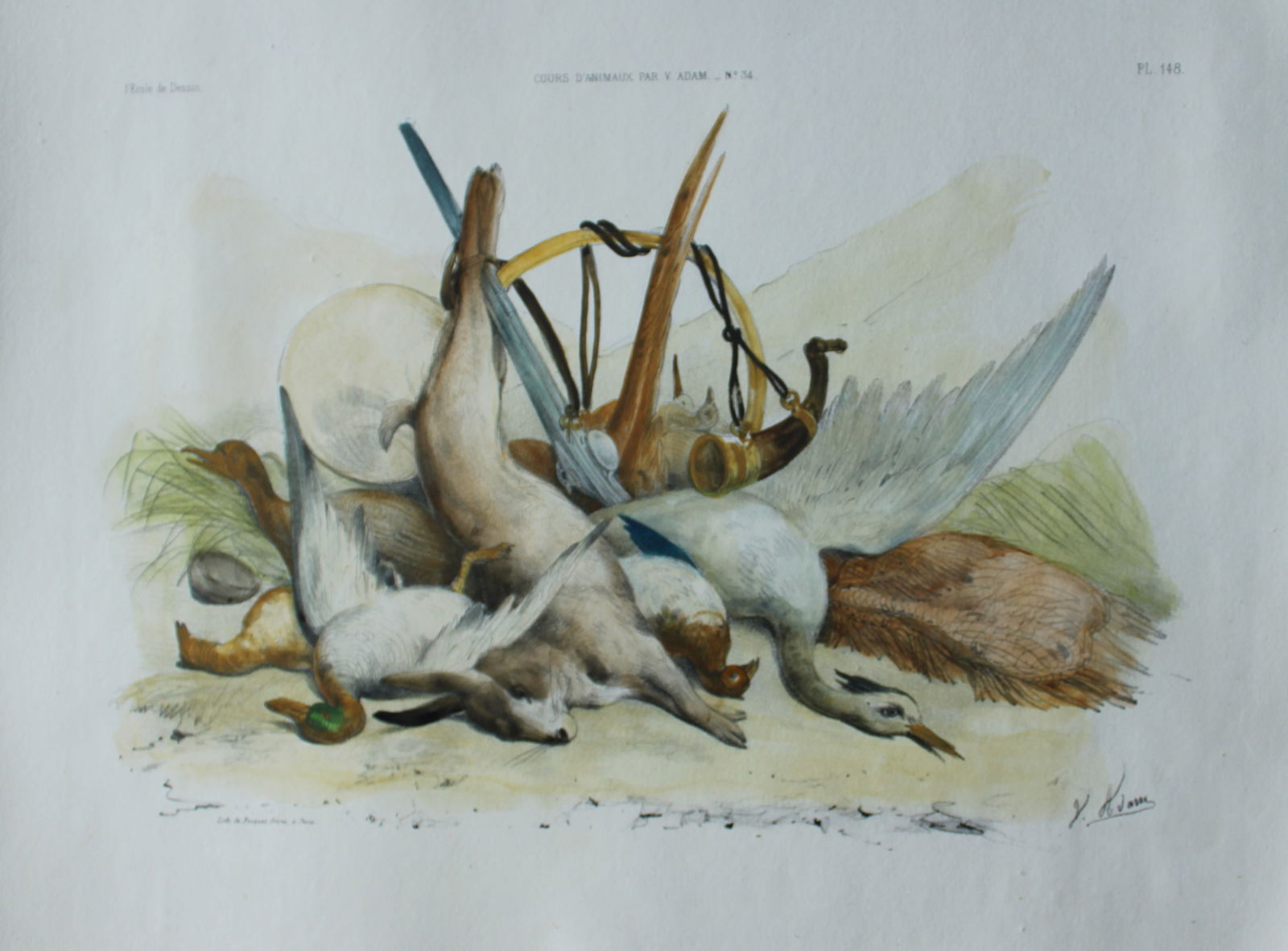 Victor Adam - Cours d'animaux lithograph 1840 (1 of 1)