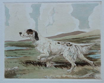 Reuben Ward Binks - Aquatint etching of an English Setter 1934 (1 of 3)