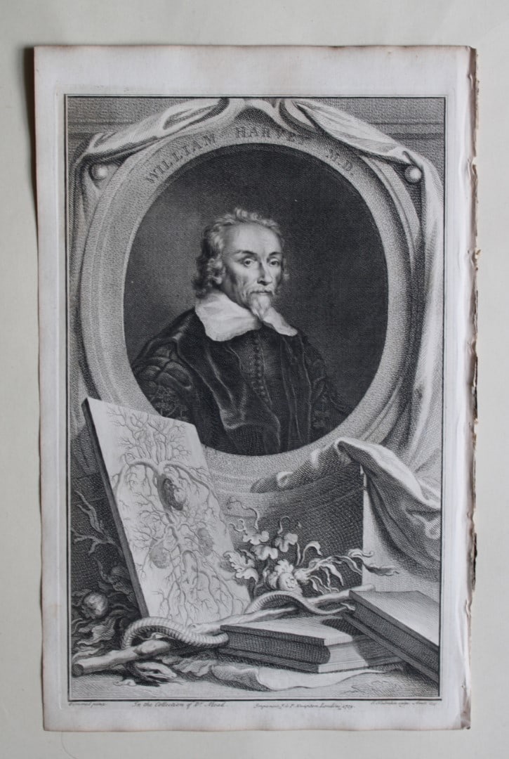 Jacobus Houbraken - Rare engraving of William Harvey MD 1747: This engraving is from The Heads of Illustrious Persons of Great Britain by Thomas Birch. Printed by John Knapton 1747, London. The engravings were by Jacobus Houbraken and George Vertue after Holbein
