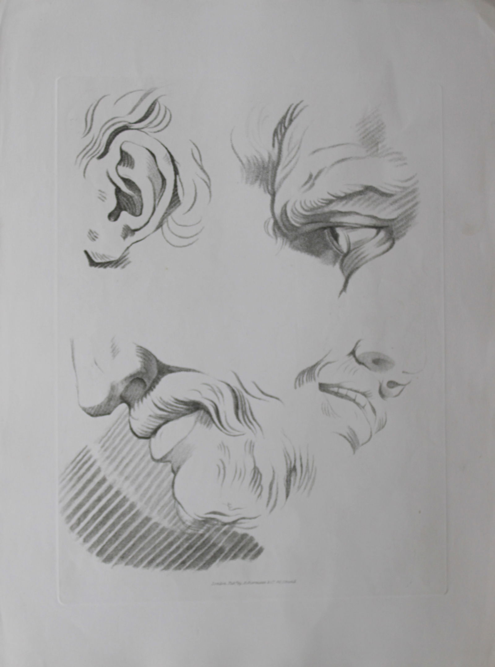 F Bartolozzi and Cipriani - Original engraving from Easy Principles 1828: This etching with stipple is from Rudiments of Drawing, published in London 1796.The illustrations were drawn by Giovanni Battista Cipriani and engraved by Francesco Bartolozzi, executed with his char