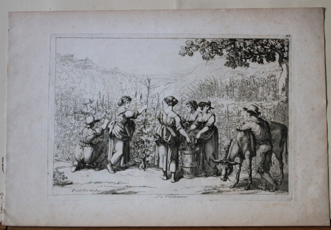 La Vendemmia by B Pinelli from Costumi Pittoreschi 1809: This etching is from Raccolta di Cinquanta Costumi Pittoreschi incisi all acqua forte da Bartolomeo Pinelli Romano. Published by Lorenzo Lazzari, Rome 1809.This plate is entitled: La VendemmiaThis fin