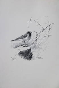 Philip Rickman - 4 prints of pencil drawings of birds 1938: These prints of pencil drawings and sketches are from Birds Sketches and Some Field Observations, Illustrated by Philip Rickman, Published by Eyre and Spottiswoode. 1938 Philip Rickman's beautifully i
