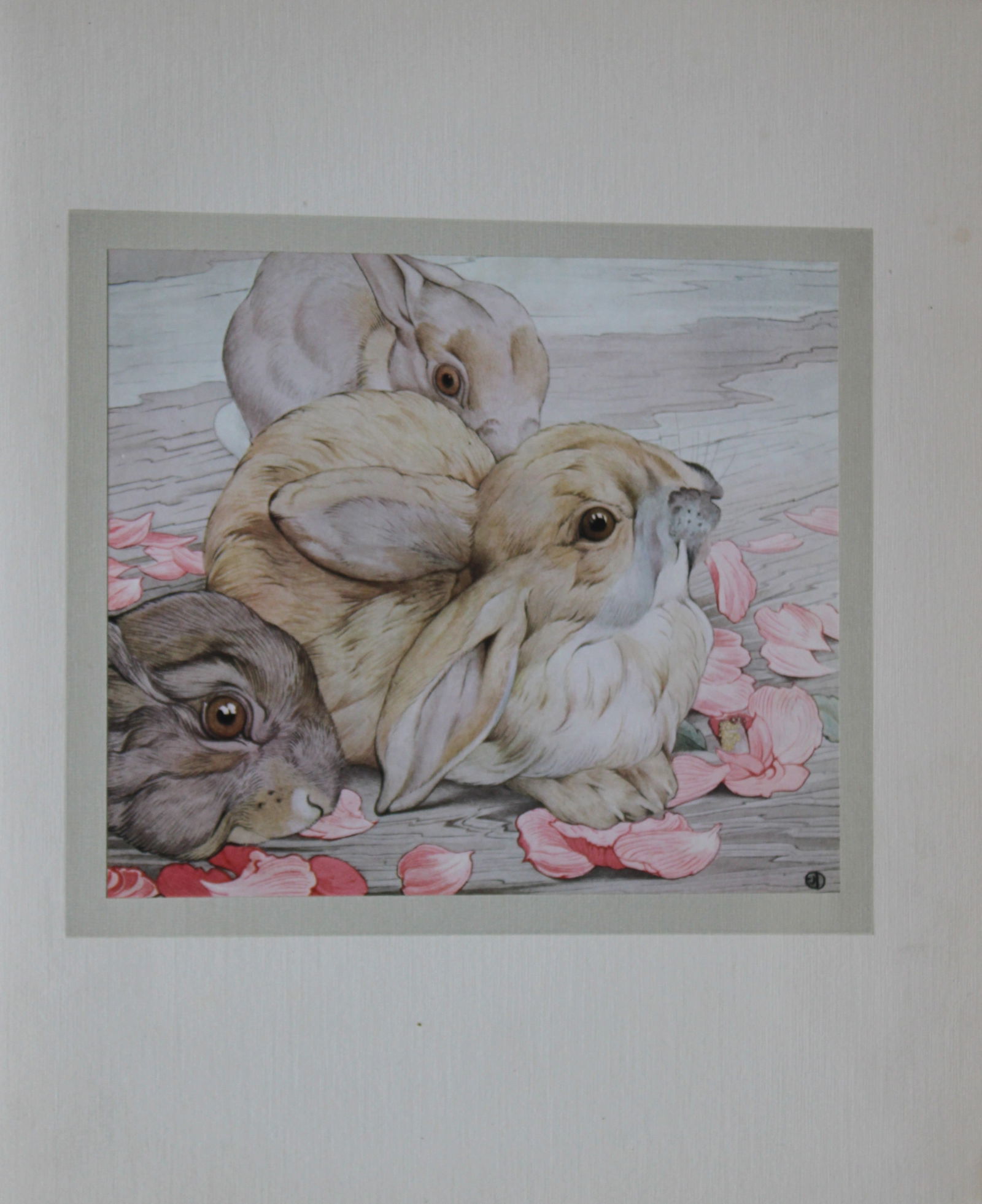 EJ Detmold - 2 prints of a rabbit and a hedgehog 1912 (1 of 2)