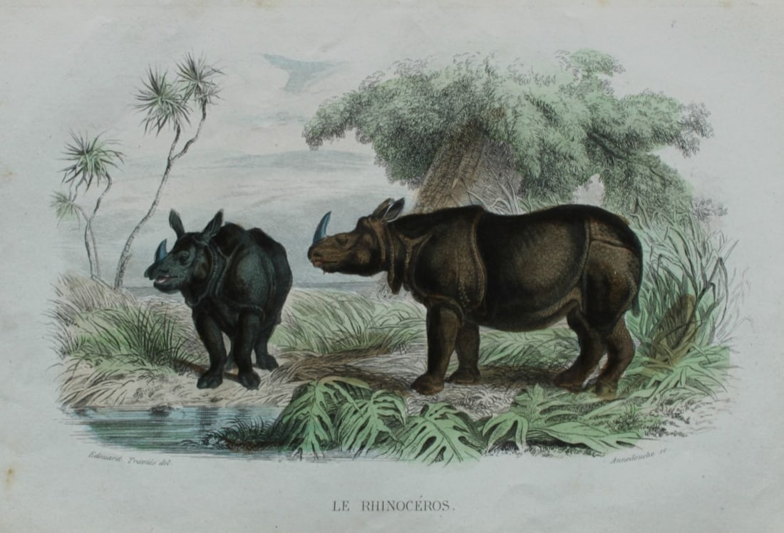 Buffon & Travies - 4 prints of Mammals 1839 (1 of 4)