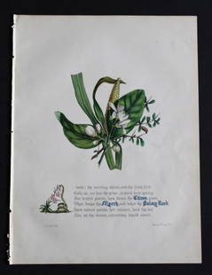Jane E Giraud - 2 prints from Flowers of Milton 1846: These original hand-coloured floral prints are from The Flowers of Milton by Jane Elizabeth Giraud, Published privately, Faversham, 1846. These prints are beautifully illustrated and are accompanied b