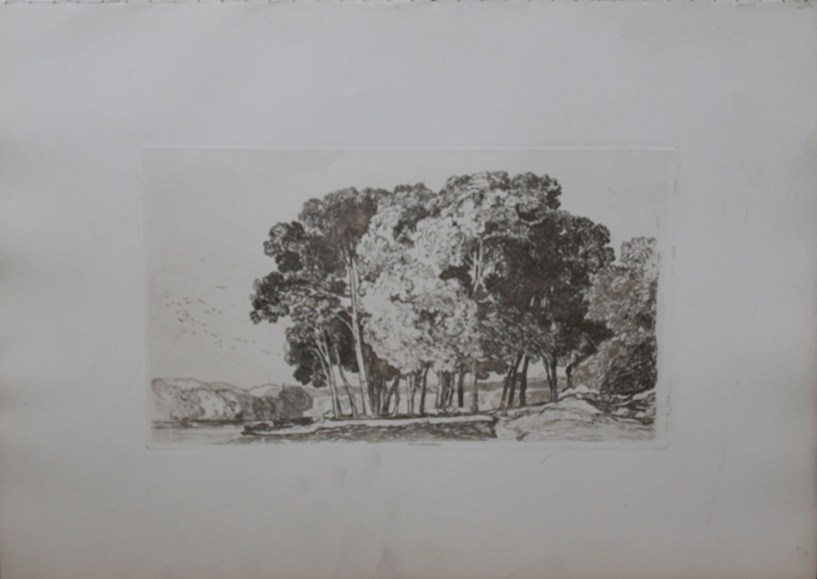 John Sell Cotman - Trees near Twickenham, London from Liber Studiorum 1838 (1 of 1)
