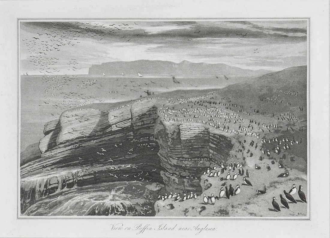 W Daniell - Puffin Island, Anglesea c1820: This engraving is from A Voyage Round Great Britain by William Daniell. Printed by Longman, Hurst, Rees, Orme and Brown, London, 1814-25.The engravings in this work were drawn Daniell and engraved by