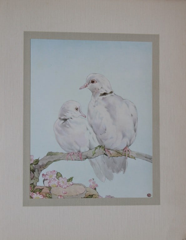 EJ Detmold - 2 prints of doves and chicks 1912 (1 of 2)