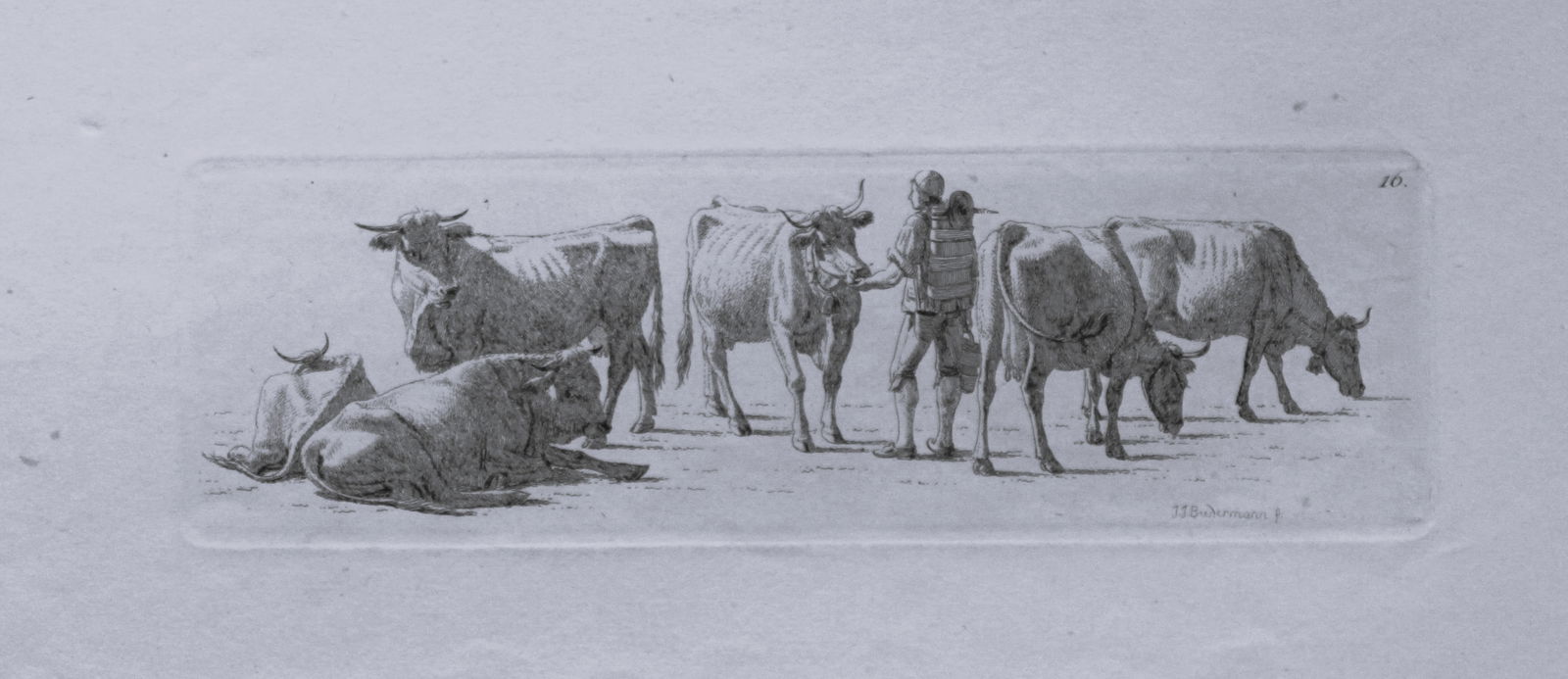 Johann Jakob Biedermann - etching of cattle c1810.: Original etching by Johann Jakob Biedermann c1810. Inscription: Signed on the lower left: "J.J. Biedermann f.", numbered on the upper right: The Swiss painter, graphic artist and etcher Biedermann pai
