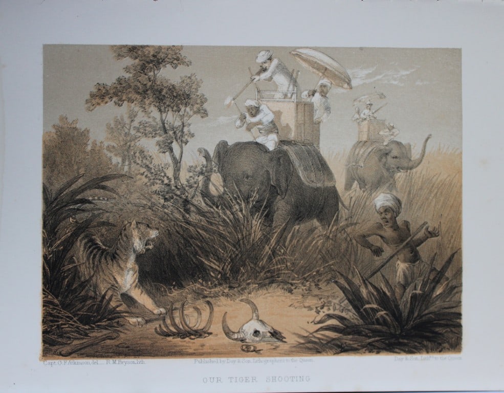 Capt. GF Atkinson - Our Tiger-Shooting from Curry and Rice 1859: This tinted lithograph is after a drawing by Capt. George Francklin Atkinson from Curry and Rice on Forty Plates or The Ingredients of Social Life at our Station in India. Published by Day & Son, Lith