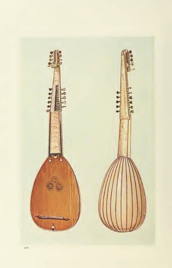 Hipkins - Rare lithograph of the Theorbo by W Gibb 1888: This beautiful print was drawn by William Gibb for Musical Instruments, Historic, Rare and Unique by Alfred Hipkins. Published by Adam and Charles Black, Edinburgh 1888. These masterful chromolithogra