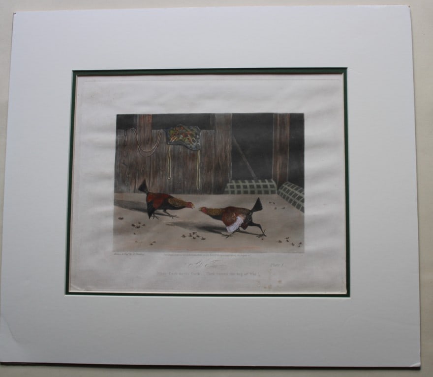R Ackermann - 6 cock fighting engravings 1853 (1 of 7)