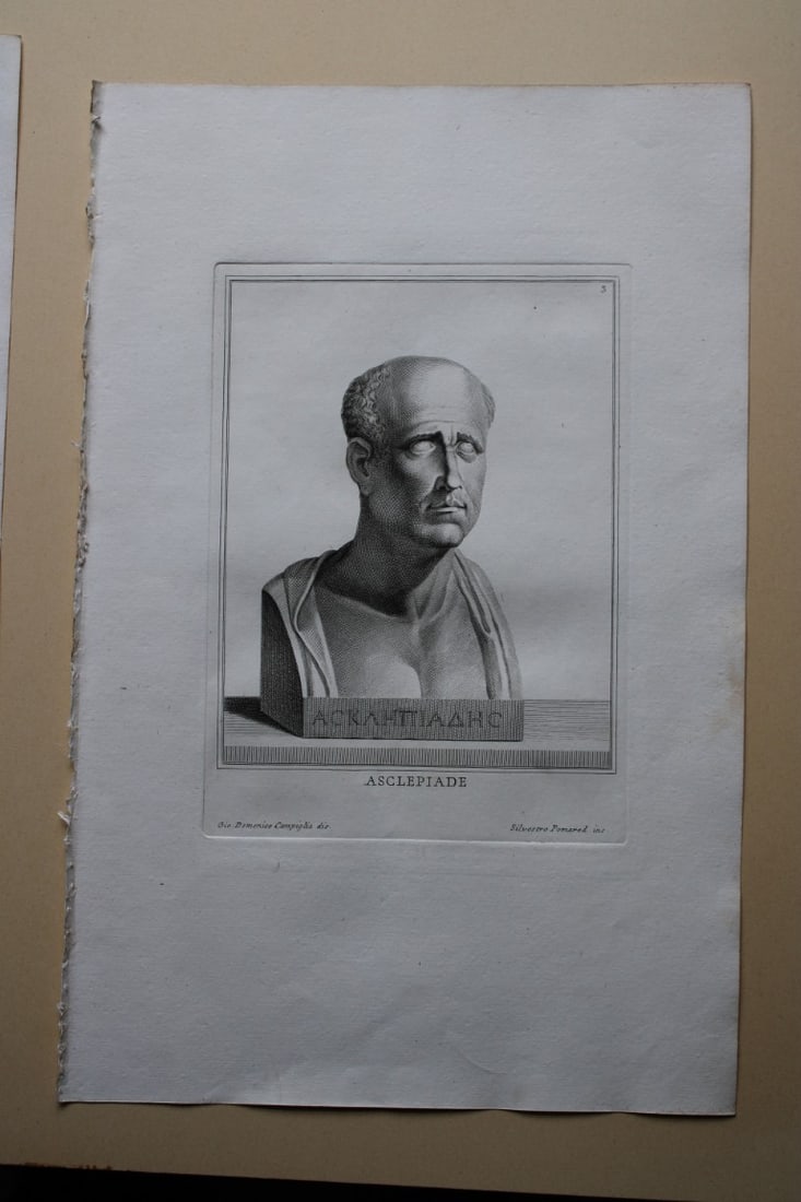 Giovanni Campiglia- Bust of Asclepiade by Silvestro Pomared 1741 (1 of 1)