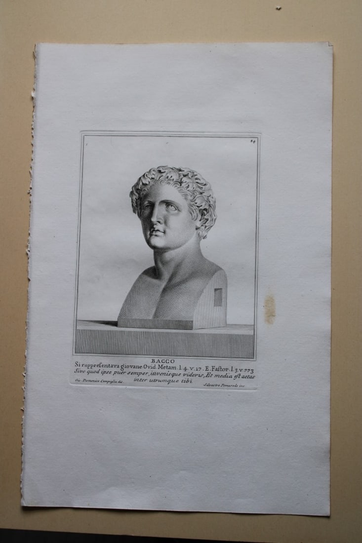Giovanni Campiglia- Bust of Bacco by Silvestro Pomared 1741 (1 of 1)