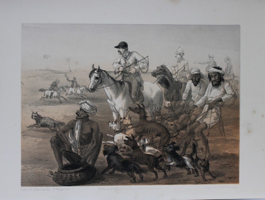 Capt. GF Atkinson - Our Pack of Hounds from Curry and Rice 1859 (1 of 1)