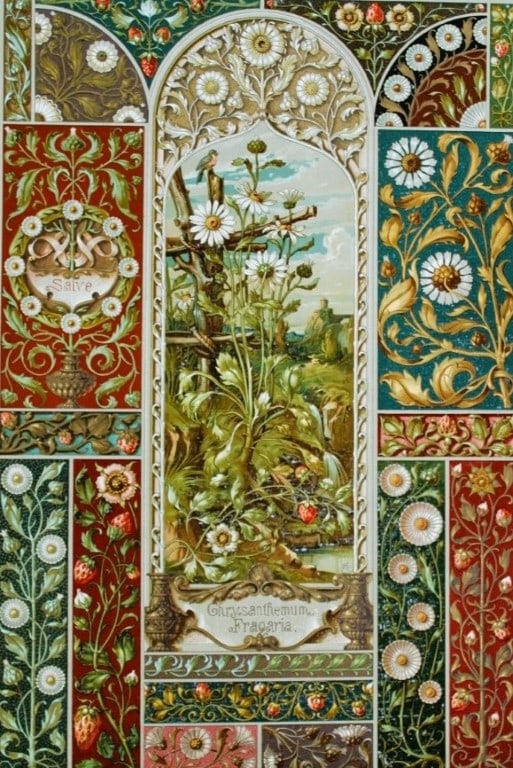 Anton Seder - Rare print of the Chrysanthemum 1890 (1 of 3)