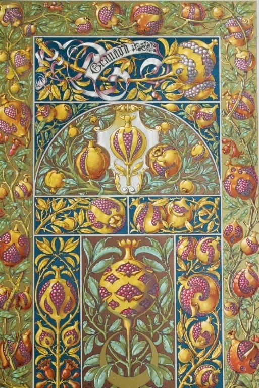 Anton Seder - Rare print of Pomegranates 1890 (1 of 3)