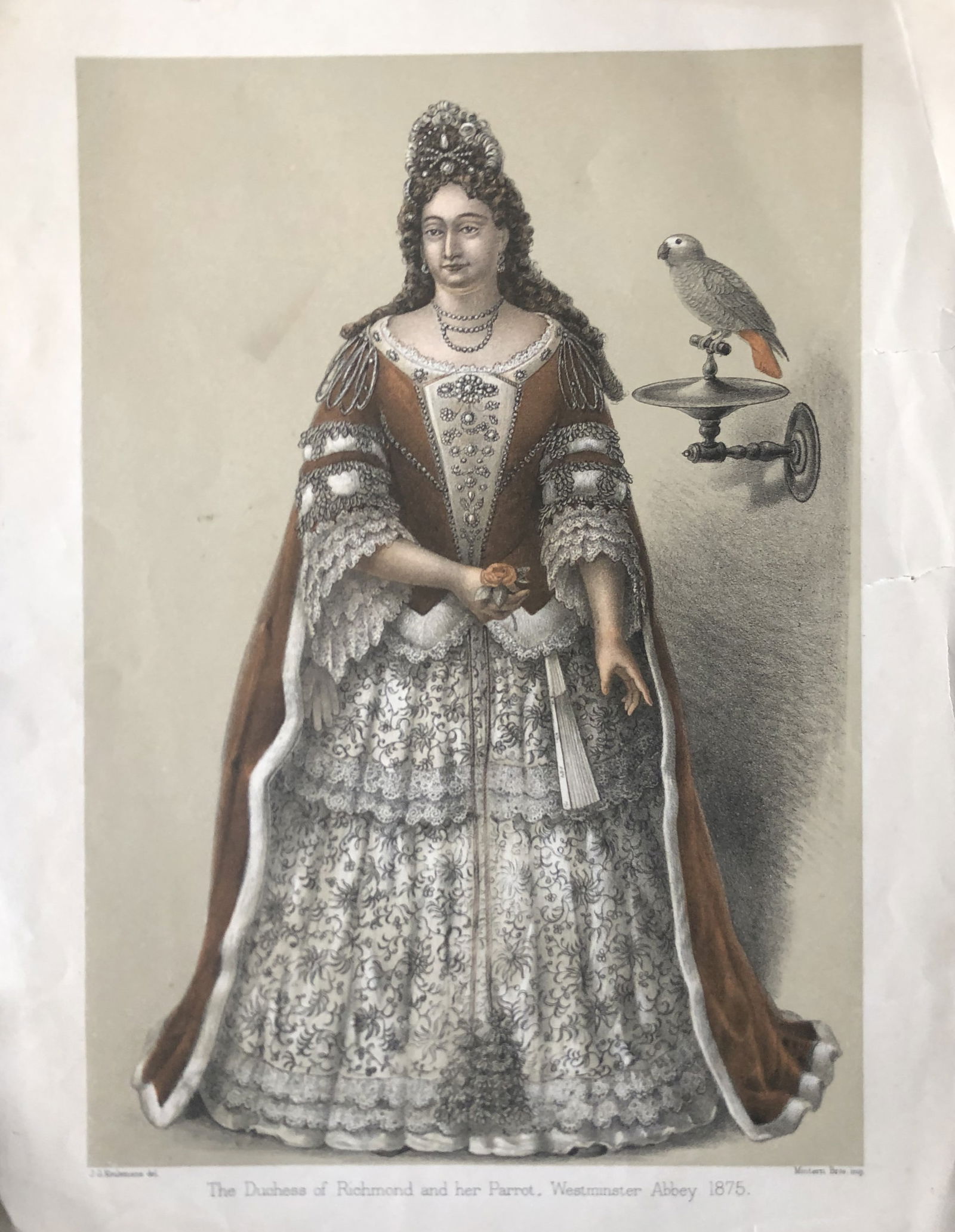 GD Rowley - Duchess of Richmond by JG Keulemans 1877 (1 of 1)