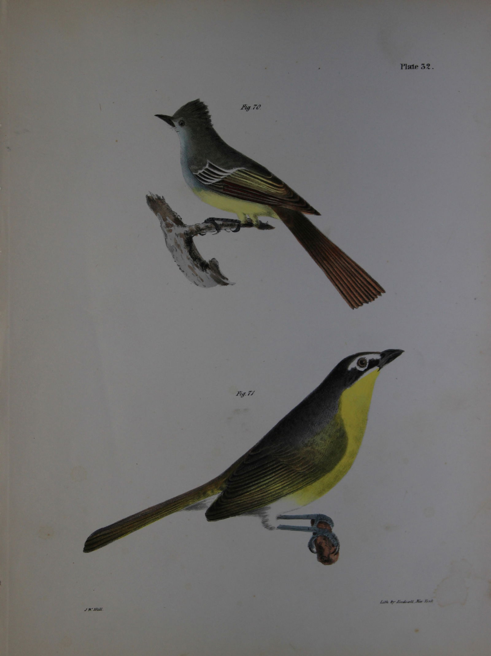 James E DeKay - Plate XXXII The Yellow-breasted Chat and The Great-crested Kingbird 1844: This original and striking 19th century engraving, drawn mostly from living specimens, have been superbly hand painted by professional colourists.James E. DeKay (1792 ? 1851) was an American zoologist