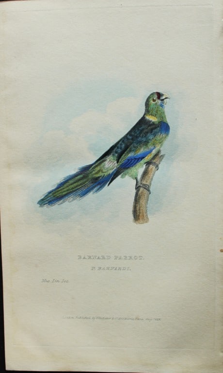Baron Cuvier - Barnard Parrot 1829 (1 of 2)