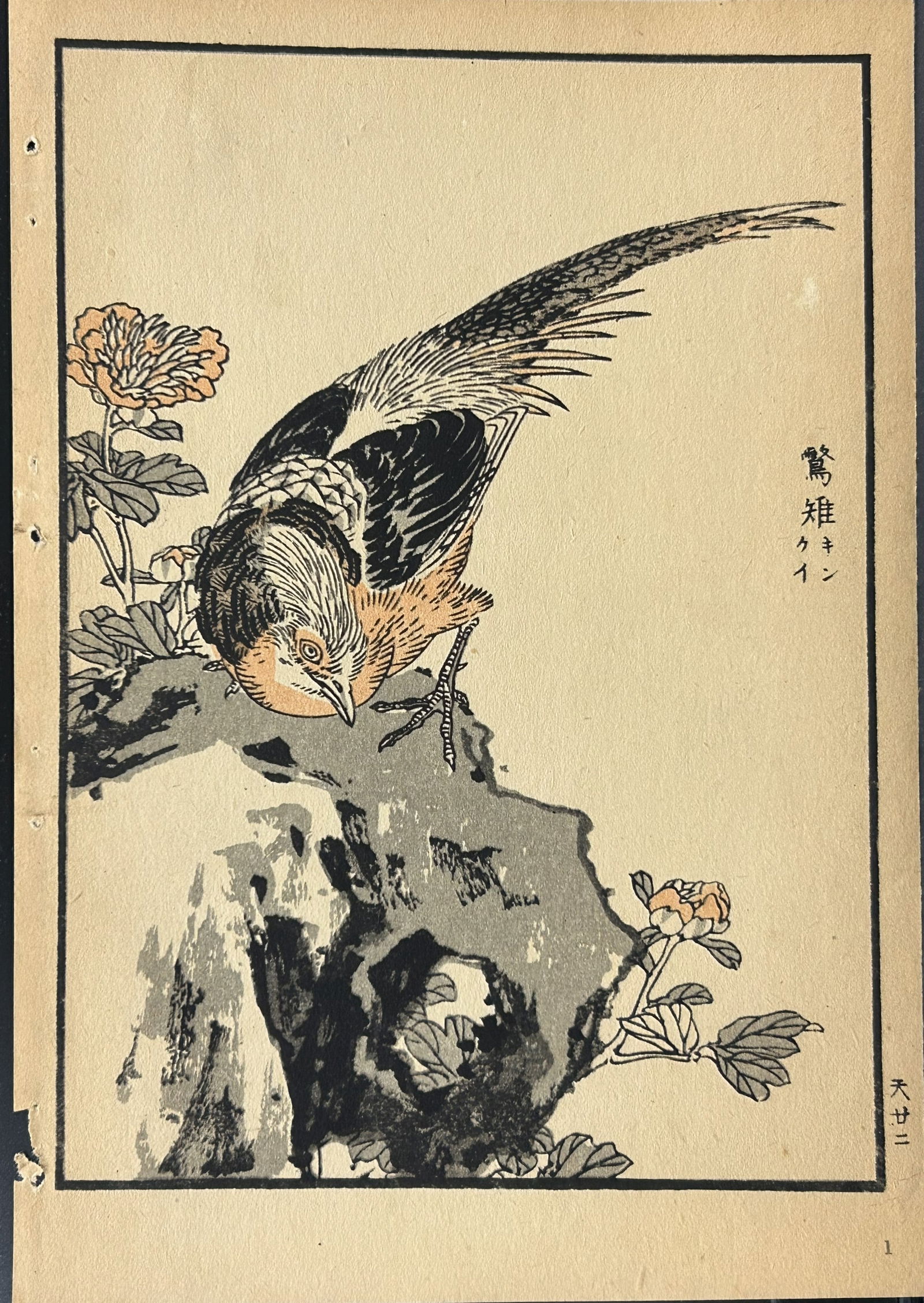 Kono Bairei - 2 Japanese woodblock prints of birds and flowers 1952 (1 of 2)