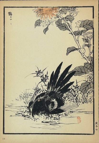 Kono Bairei - 2 Japanese woodblock prints of birds and flowers 1952 (1 of 2)