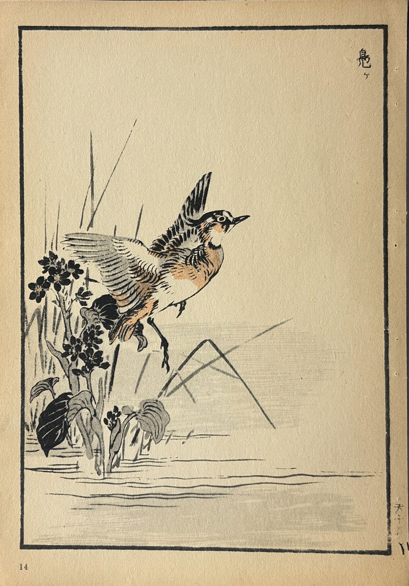 Kono Bairei - 2 Japanese woodblock prints of birds and flowers 1952 (1 of 2)