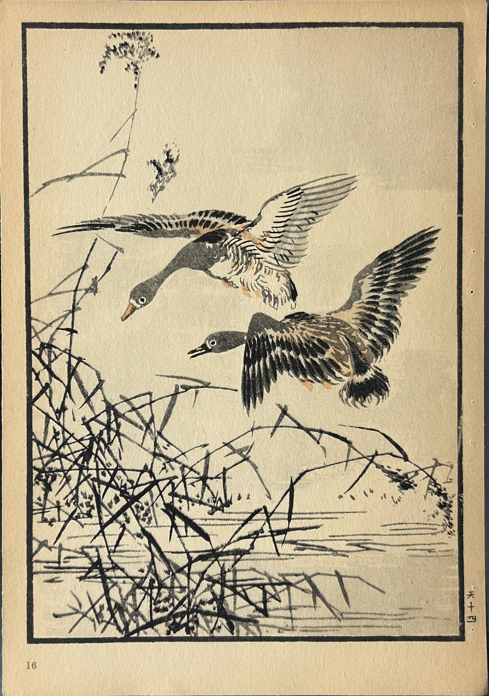 Kono Bairei - 2 Japanese woodblock prints of birds and flowers 1952 (1 of 2)