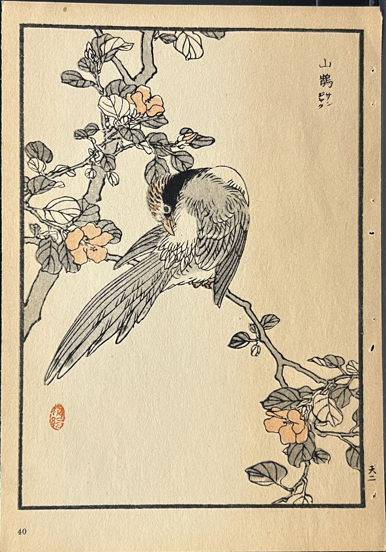 Kono Bairei - 2 Japanese woodblock prints of birds and flowers 1952 (1 of 2)