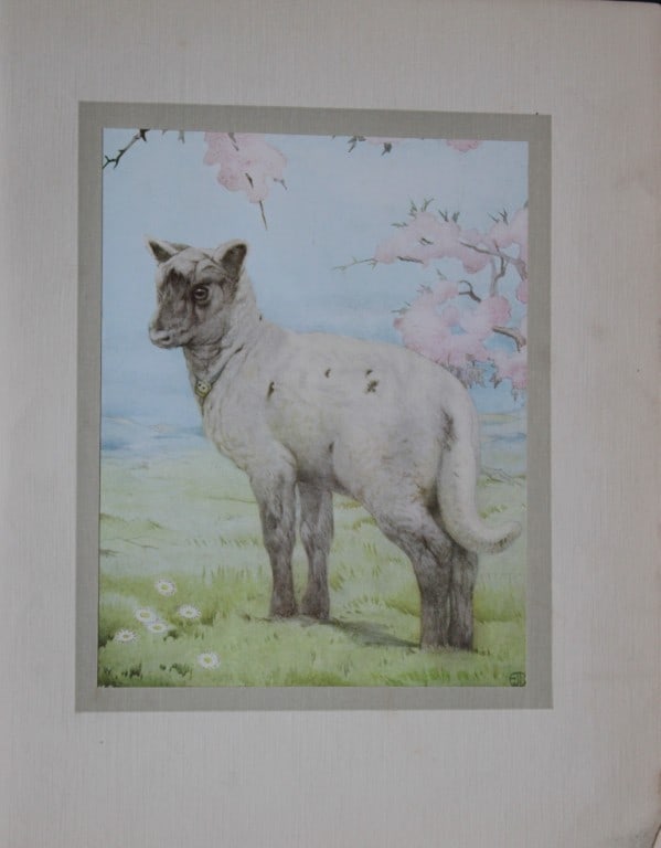 EJ Detmold - Print of a lamb 1912 (1 of 1)