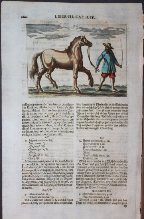 Georg Winter - Rare Bellerophon engraving of dressage training 1678: This rare hand-coloured dressage print is from Bellerophon, sive eques peritus?. by Georg Winter and engraved by Peter Paul Tr?schel , published in Nuremberg 1678. Georg Simon Winter von Adlersfl?gel