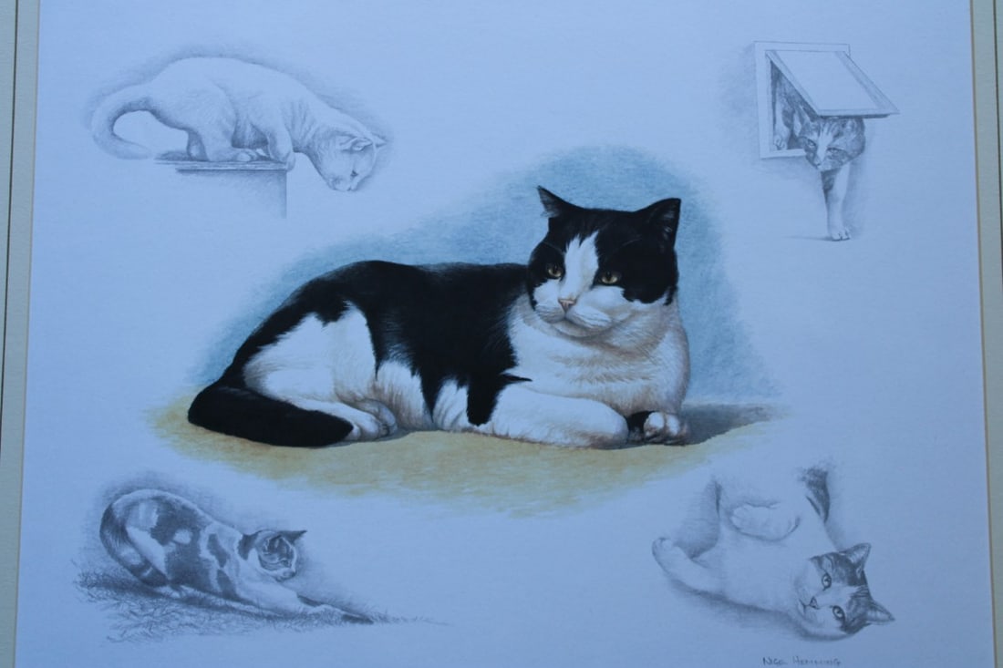 Nigel Hemming - Lithograph of a British Short Hair Cat 1988 (1 of 1)