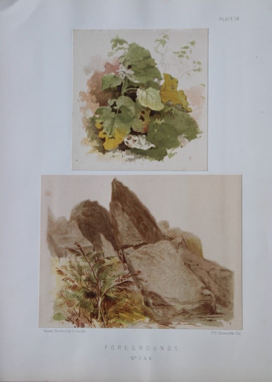 PH Delamotte - Chromolithograph of Foregrounds 1888 (1 of 2)