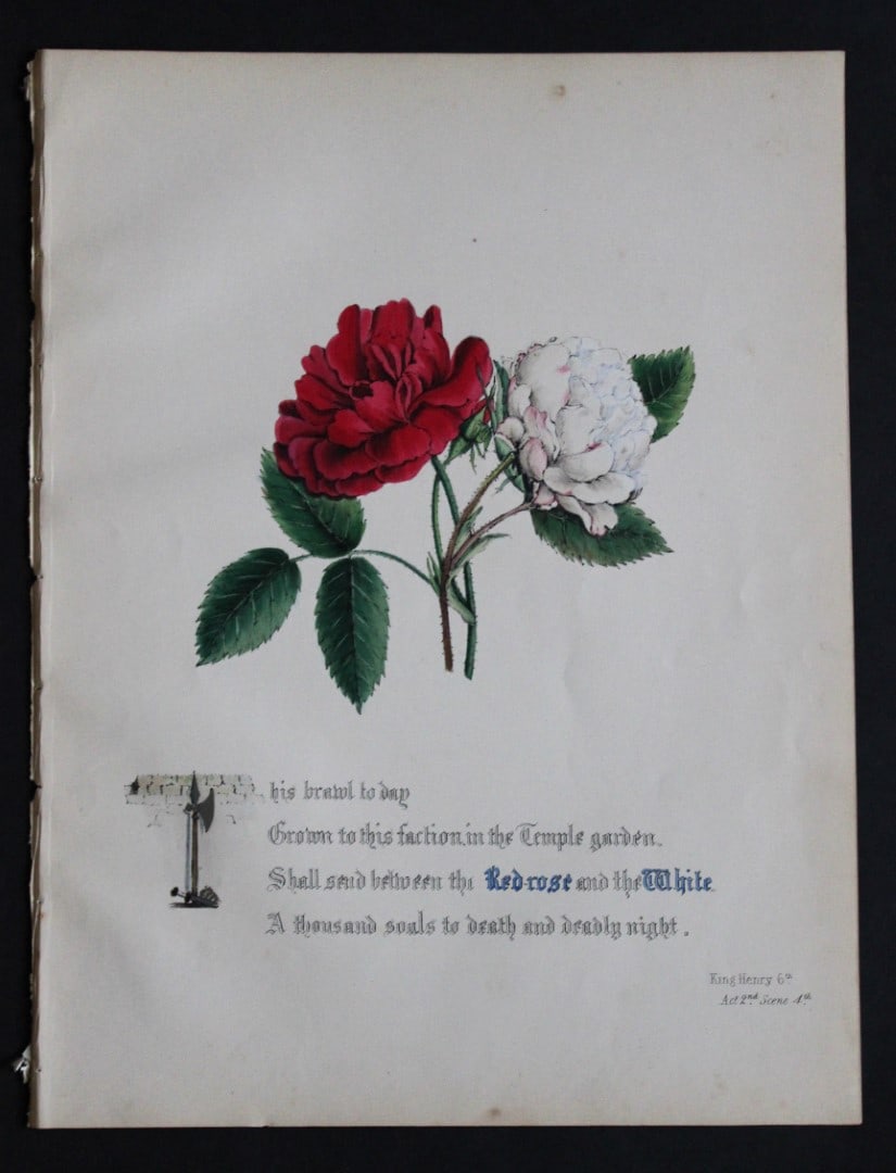 Jane E Giraud - Hand coloured print from Flowers of Shakespeare 1845 (1 of 2)