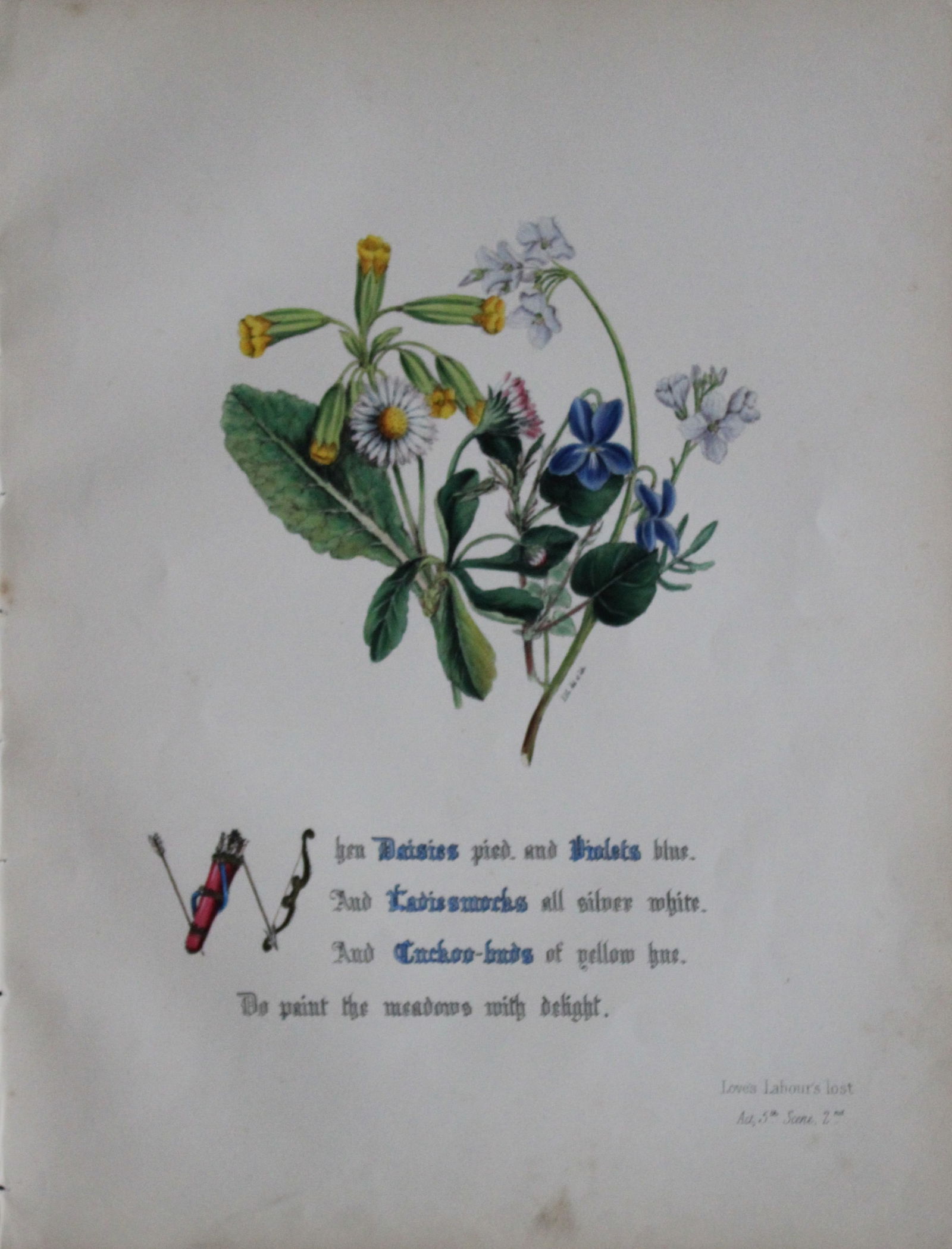 Jane E Giraud - Hand coloured print from Flowers of Shakespeare 1845 (1 of 1)