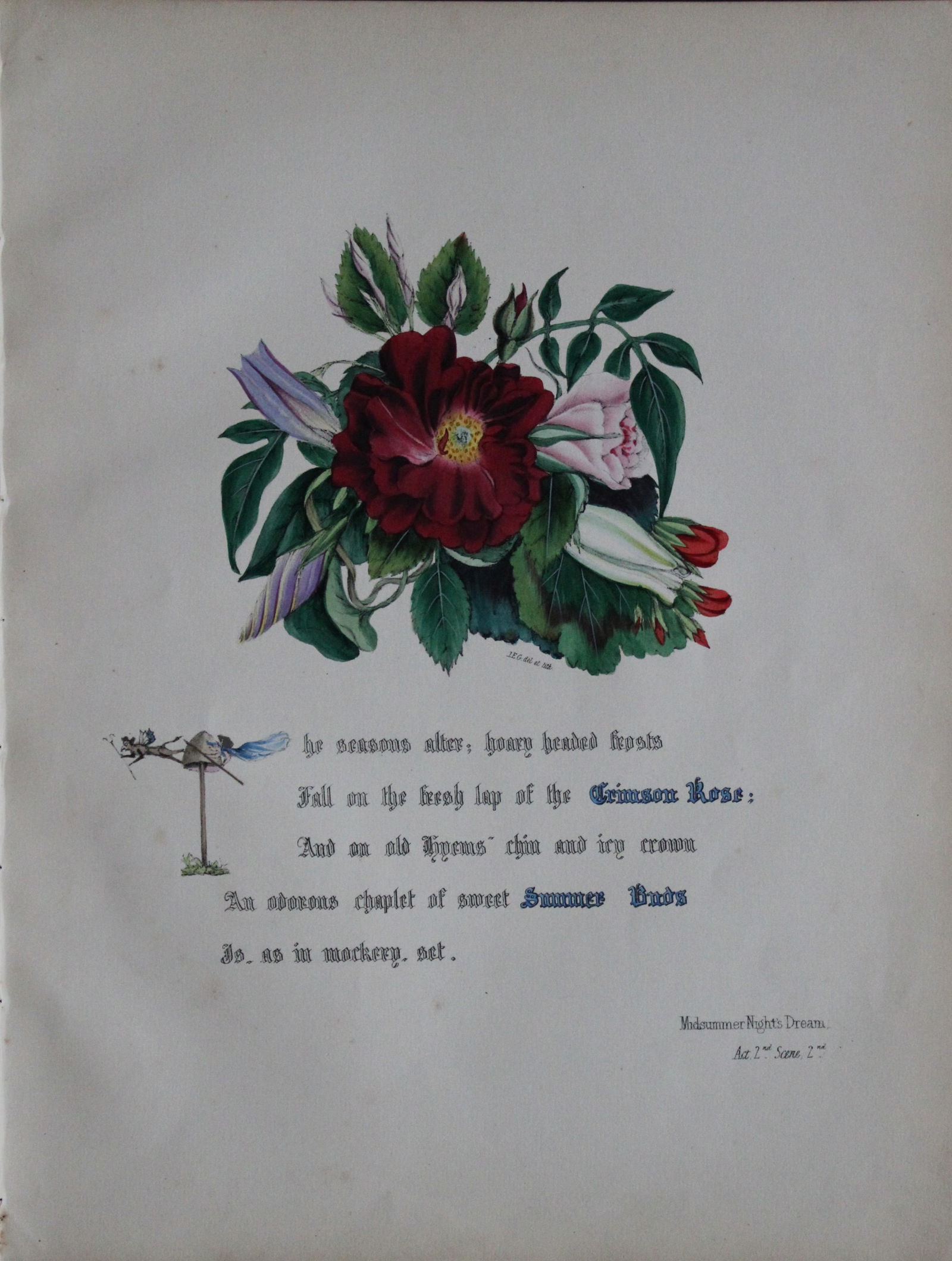 Jane E Giraud - Hand coloured print from Flowers of Shakespeare 1845: This original hand-coloured floral print is from The Flowers of Shakespeare by Jane Elizabeth Giraud, Published privately, Faversham, 1845. These prints are beautifully illustrated and are accompanied