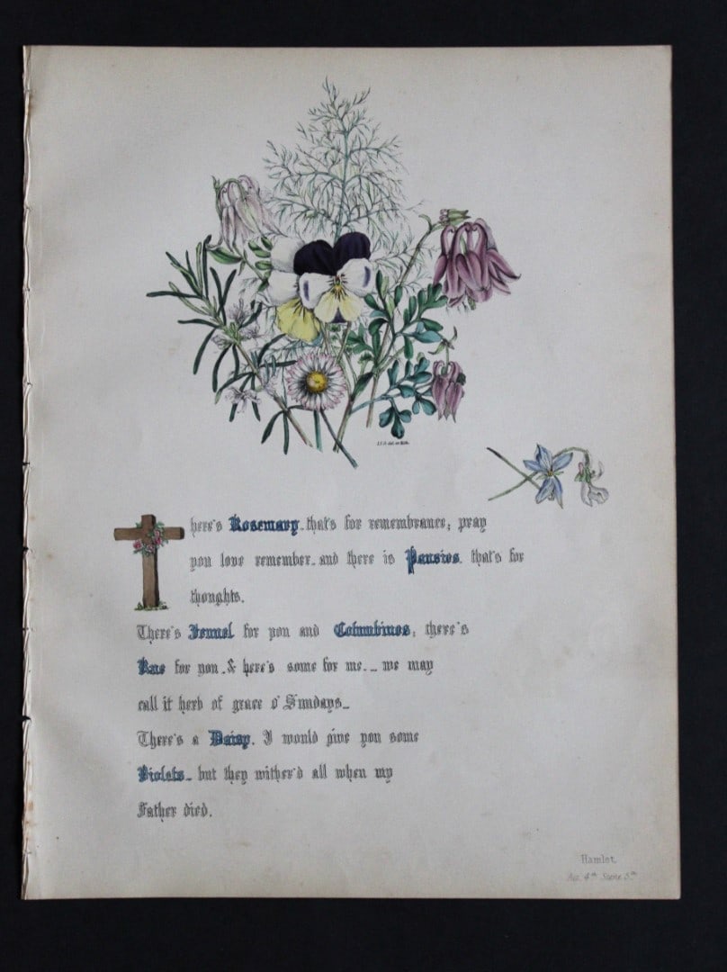 Jane E Giraud - Hand coloured print from Flowers of Shakespeare 1845: This original hand-coloured floral print is from The Flowers of Shakespeare by Jane Elizabeth Giraud, Published privately, Faversham, 1845. These prints are beautifully illustrated and are accompanied