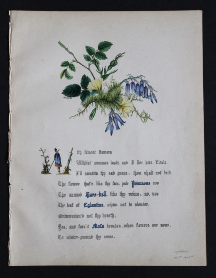 Jane E Giraud - Hand coloured print from Flowers of Shakespeare 1845 (1 of 2)