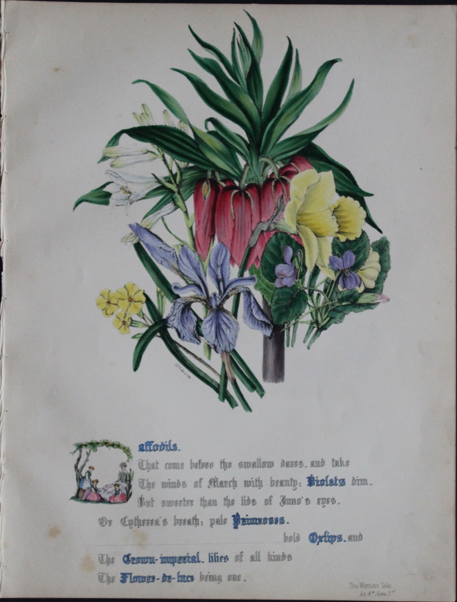 Jane E Giraud - Hand coloured print from Flowers of Shakespeare 1845 (1 of 2)