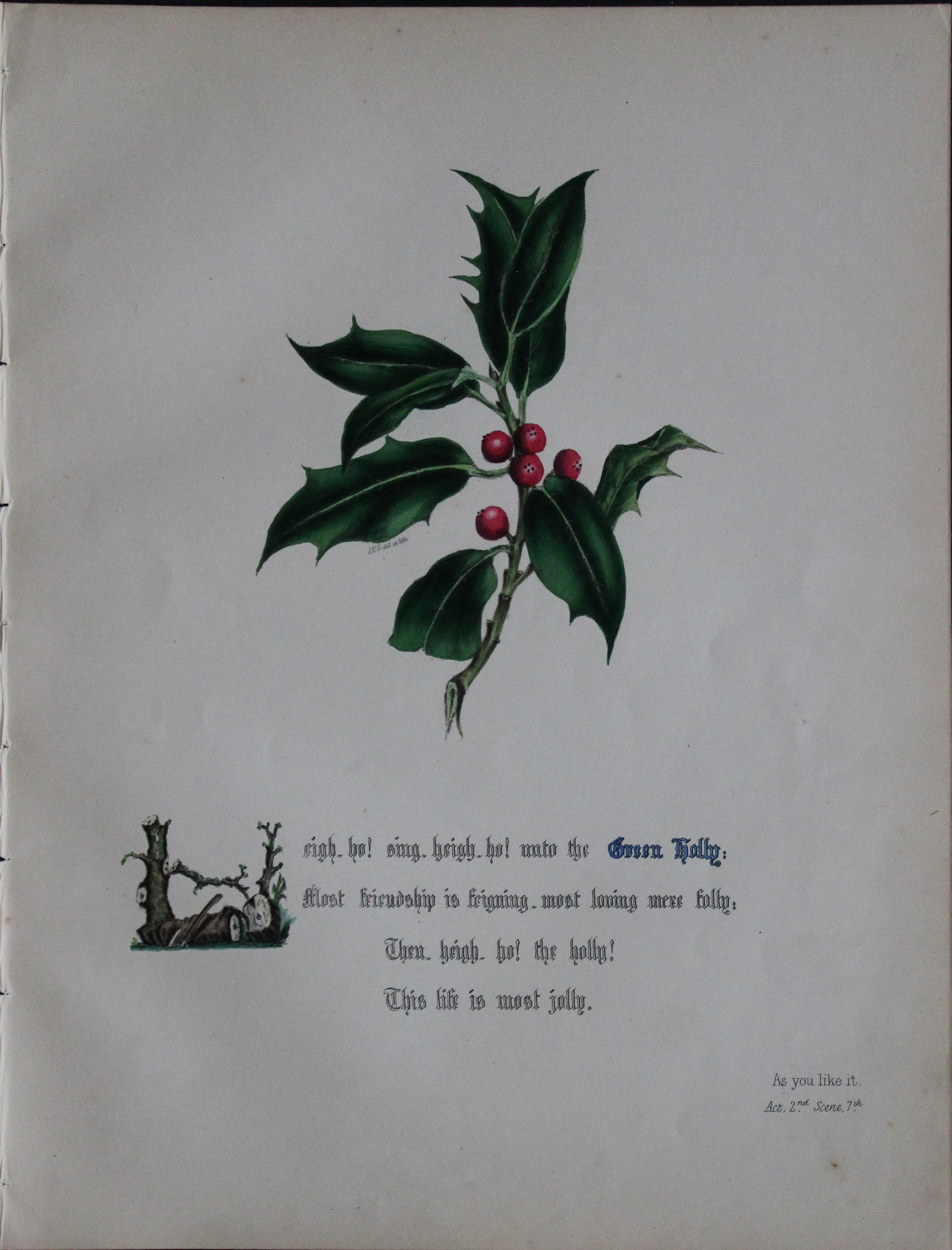 Jane E Giraud - Hand coloured print from Flowers of Shakespeare 1845: This original hand-coloured floral print is from The Flowers of Shakespeare by Jane Elizabeth Giraud, Published privately, Faversham, 1845. These prints are beautifully illustrated and are accompanied