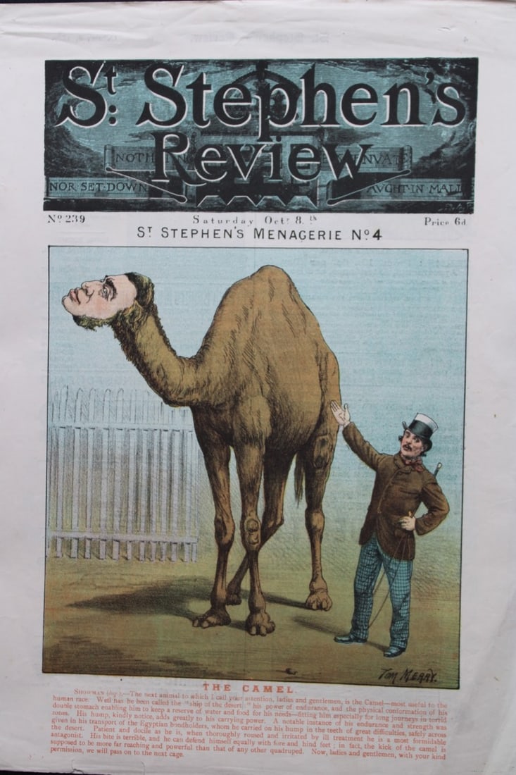Tom Merry political cartoon - St Stephen's Menagerie No. 4 1887: This single page coloured lithograph is from St Stephen?s review by Tom Merry (the pseudonym of William Mecham). Merry was a cartoonist and political satirist who created the centrespread, in colour,