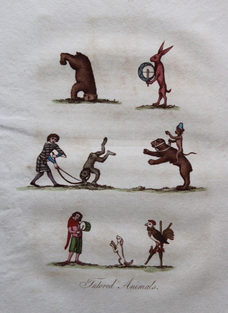 Joseph Strutt - Tutored Animals 1801 (1 of 1)